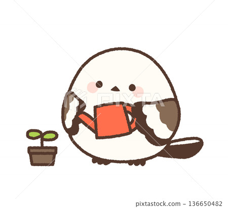 一隻長尾山雀正盯著花盆。 136650482