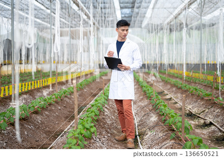 Asian agricultural scientist man holding clipboard observing plants while walking in greenhouse farm Asian agricultural scientist man holding clipboard observing plants while walking in greenhouse farm 136650521