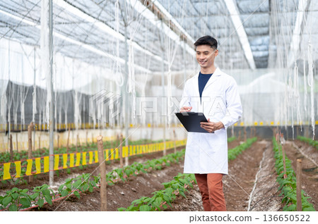 Asian agricultural scientist man in lab coat holding clipboard observing plants in a greenhouse farm Asian agricultural scientist man in lab coat holding clipboard observing plants in a greenhouse farm 136650522