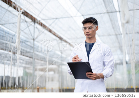Glasses asian agricultural scientist man in lab coat writing while observing in a greenhouse farm. 136650532