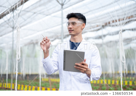 Glasses agricultural scientist man holding tablet looking at plant while working in greenhouse farm Glasses agricultural scientist man holding tablet looking at plant while working in greenhouse farm 136650534