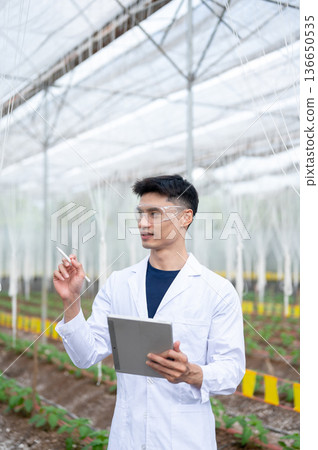 Glasses agricultural scientist man holding tablet looking at plants while working in greenhouse farm Glasses agricultural scientist man holding tablet looking at plants while working in greenhouse farm 136650535