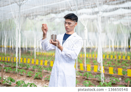 Asian agricultural scientist man holding beaker testing on plant soil and working in greenhouse farm Asian agricultural scientist man holding beaker testing on plant soil and working in greenhouse farm 136650548
