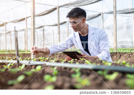 Asian agricultural scientist man holding tablet looking observing plant seedling in greenhouse farm. Asian agricultural scientist man holding tablet looking observing plant seedling in greenhouse farm. 136650603