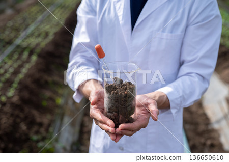 Close up of agricultural scientist's hands holding a glass beaker with plant soil in greenhouse farm Close up of agricultural scientist's hands holding a glass beaker with plant soil in greenhouse farm 136650610