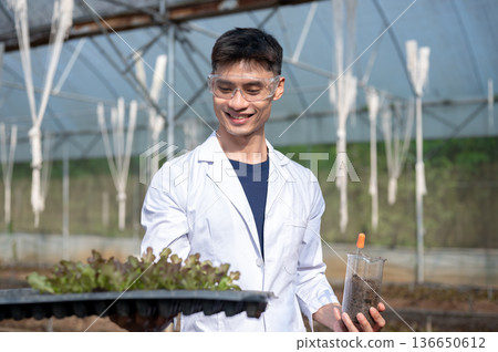 Asian agricultural scientist man holding glass beaker and vegetable planting tray in greenhouse farm Asian agricultural scientist man holding glass beaker and vegetable planting tray in greenhouse farm 136650612