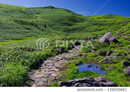 View of the ridgeline to Mihama from the Mount Chokai/Kisagataguchi course 136650661