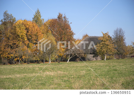 Belarusian village. 136650931