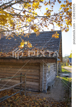 Belarusian village. 136650935