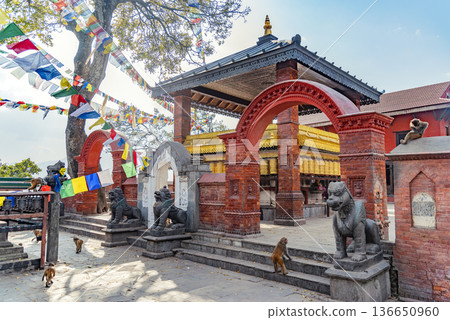Nepalese Buddhist Temples in Kathmandu 136650960