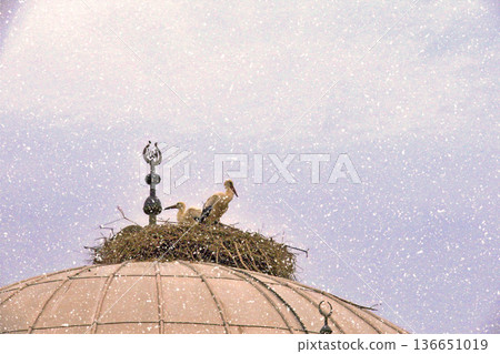 Storks Nesting on Mosque Dome in Winter Snow. White stork rests in a large twig nest atop a traditional mosque dome during a gentle winter snowfall, symbolizing peace and nature. Storks Nesting on Mosque Dome in Winter Snow. White stork rests in a large twig nest atop a traditional mosque dome during a gentle winter snowfall, symbolizing peace and nature. 136651019