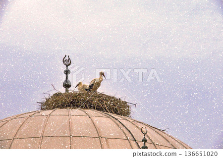Storks Nesting on Mosque Dome in Winter Snow. White stork rests in a large twig nest atop a traditional mosque dome during a gentle winter snowfall, symbolizing peace and nature.  136651020