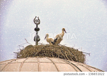 Storks Nesting on Mosque Dome in Winter Snow. White stork rests in a large twig nest atop a traditional mosque dome during a gentle winter snowfall, symbolizing peace and nature. Storks Nesting on Mosque Dome in Winter Snow. White stork rests in a large twig nest atop a traditional mosque dome during a gentle winter snowfall, symbolizing peace and nature. 136651022