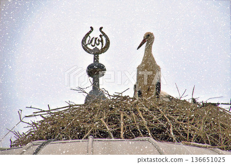 Storks Nesting on Mosque Dome in Winter Snow. White stork rests in a large twig nest atop a traditional mosque dome during a gentle winter snowfall, symbolizing peace and nature.  136651025