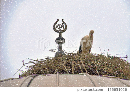 Storks Nesting on Mosque Dome in Winter Snow. White stork rests in a large twig nest atop a traditional mosque dome during a gentle winter snowfall, symbolizing peace and nature.  136651026