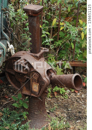 Antics in the vintage Fort 136651125