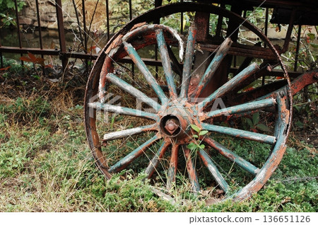 Antics in the vintage Fort 136651126