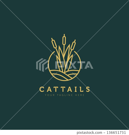 cattails plant above the water minimalist flat design logo illustration design template. simple line art logo concept cattails plant above the water minimalist flat design logo illustration design template. simple line art logo concept 136651731