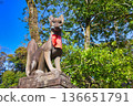 Fushimi Inari Taisha Shrine, Kyoto: Guardian foxes shining against the blue sky (Fushimi Ward, Kyoto City, Kyoto Prefecture) Fushimi Inari Taisha Shrine, Kyoto: Guardian foxes shining against the blue sky (Fushimi Ward, Kyoto City, Kyoto Prefecture) 136651791