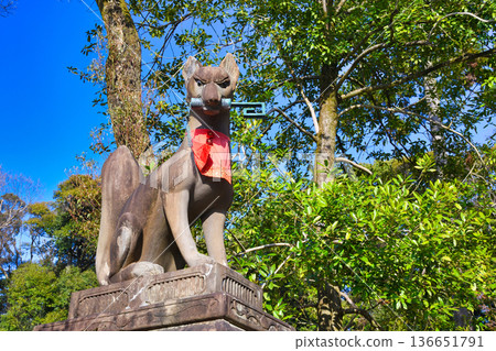 京都伏見稻荷大社:守護狐狸在藍天下閃耀(京都府京都市伏見區) 京都伏見稻荷大社:守護狐狸在藍天下閃耀(京都府京都市伏見區) 136651791