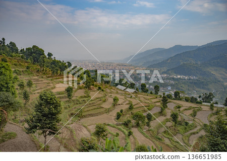 rural fields in the himalayas rural fields in the himalayas 136651985