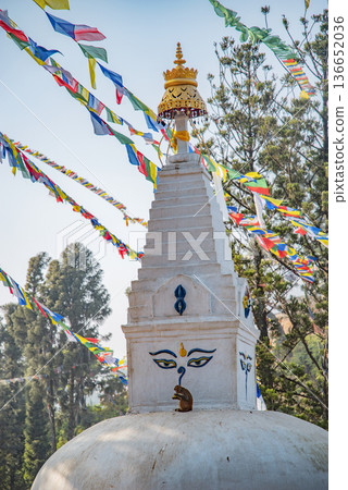Nepalese Buddhist Temples in Kathmandu 136652036