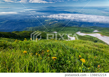 鳥海山和厚坂山的山地植物和新地雪，遠眺月山 136652214