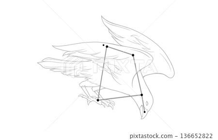 烏鴉座的單色線條畫（烏鴉圖案和星座線條） 136652822