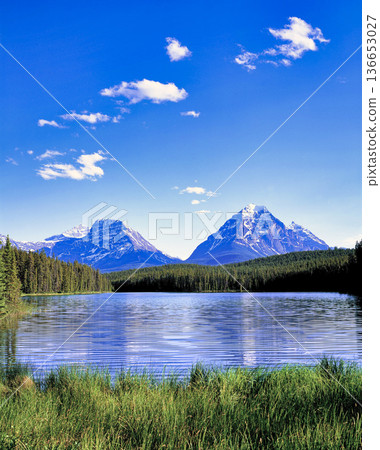 加拿大洛磯山脈壯麗的山景 136653027