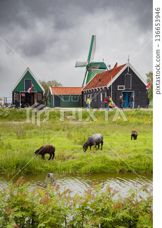 Dutch village of Zaandam. 136653946
