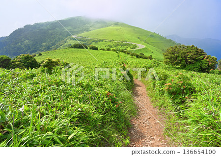 Izu Peninsula - Summer Izuyama Ridge Trail - View of Mt. Daruma and the mountain path stretching through the grasslands of Asebigahara Izu Peninsula - Summer Izuyama Ridge Trail - View of Mt. Daruma and the mountain path stretching through the grasslands of Asebigahara 136654100