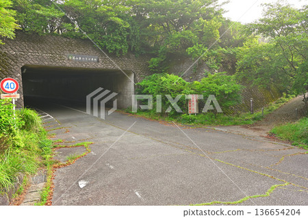 伊豆半島伊豆山脊步道:從戶田峠進入金冠山,以及金冠山第二隧道 伊豆半島伊豆山脊步道:從戶田峠進入金冠山,以及金冠山第二隧道 136654204
