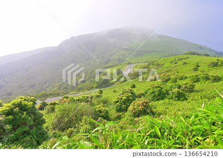 Izu Peninsula, Izuyama Ridge Trail in Summer, Mt. Daruma seen from Asebigahara on Mt. Kodaruma as the mist clears Izu Peninsula, Izuyama Ridge Trail in Summer, Mt. Daruma seen from Asebigahara on Mt. Kodaruma as the mist clears 136654210