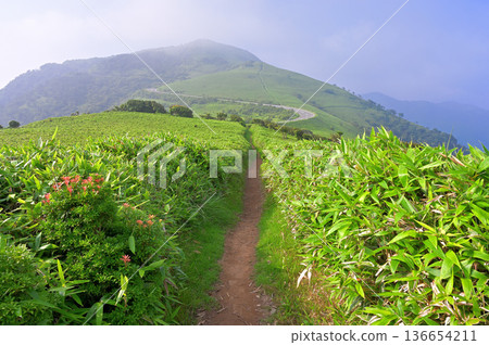 Izu Peninsula, Izuyama Ridge Trail in Summer, Mt. Daruma seen from Asebigahara on Mt. Kodaruma as the mist clears Izu Peninsula, Izuyama Ridge Trail in Summer, Mt. Daruma seen from Asebigahara on Mt. Kodaruma as the mist clears 136654211