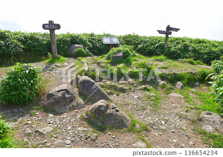 伊豆半島伊豆山脊步道:夏季的達摩山頂峰 伊豆半島伊豆山脊步道:夏季的達摩山頂峰 136654234