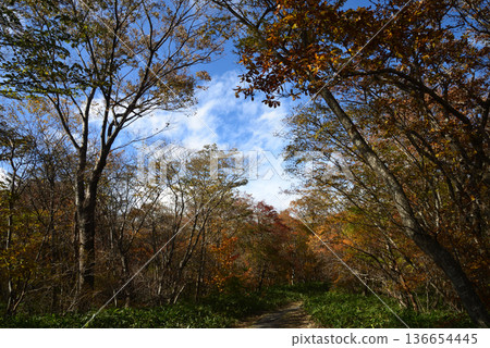 那須平成森林 2025-11-2 #28 136654445