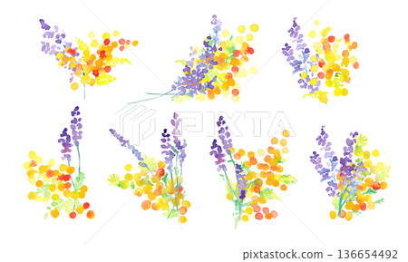 水彩畫。水彩薰衣草向量插圖。薰衣草春季植物背景。 136654492