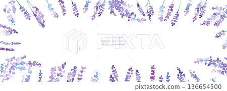 Watercolor painting. Watercolor lavender vector illustration. Lavender spring plant background. Watercolor painting. Watercolor lavender vector illustration. Lavender spring plant background. 136654500