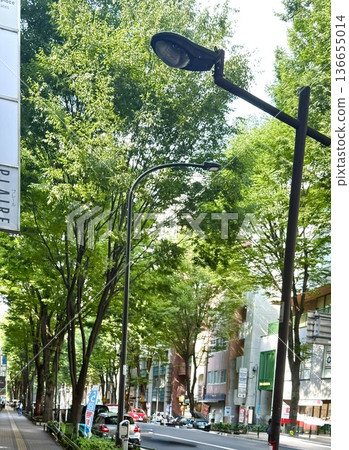 Green cityscape Green cityscape 136655014