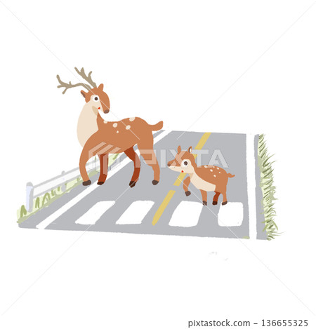 一隻母鹿帶著小鹿過行人穿越道——道路安全警示,提醒人們注意野生動物突然跳出。 一隻母鹿帶著小鹿過行人穿越道——道路安全警示,提醒人們注意野生動物突然跳出。 136655325