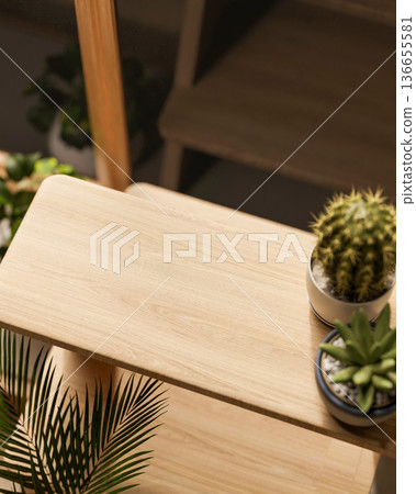 Top view of potted cactus and succulent plant on wooden display rack stand shelf in bright sunlight. 136655581