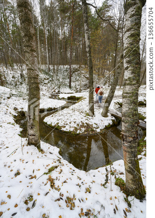 A winding stream, a small bridge and walking people in an autumn forest covered with the first snow 136655704
