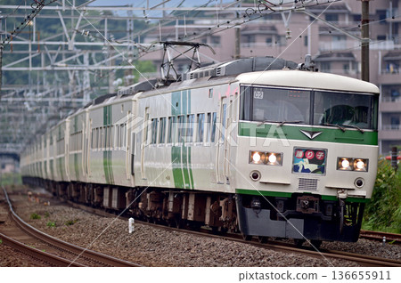 東海道本線萬鶴JR東日本系列185 C2編隊（大宮）舞者 136655911