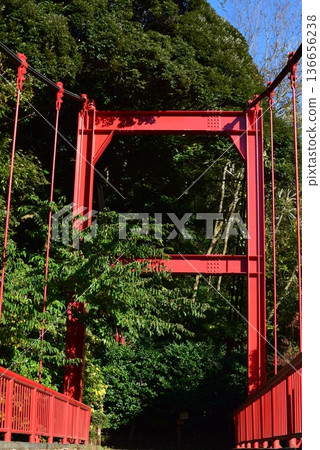 泉自然公園的泉橋 136656238