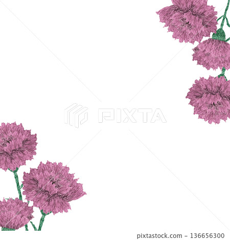 [Carnation frame] Hand embroidery illustration material 136656300
