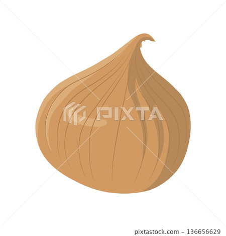洋蔥向量圖標,葉類蔬菜插圖素材 洋蔥向量圖標,葉類蔬菜插圖素材 136656629
