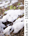 Thaw 136656727