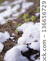 The melting snow heralds the arrival of spring 136656729