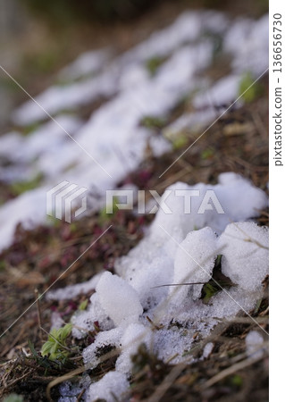 地面上仍有積雪 136656730