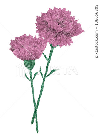 [Carnation Tip] Hand-embroidered illustration material 136656805